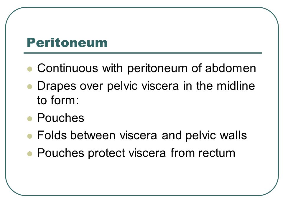 Peritoneum Continuous with peritoneum of abdomen