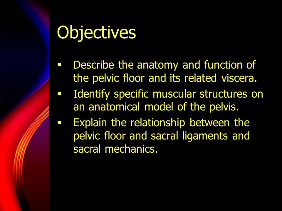 Objectives Describe the anatomy and function of the pelvic floor and its related viscera.