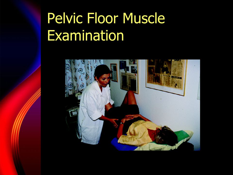 Pelvic Floor Muscle Examination
