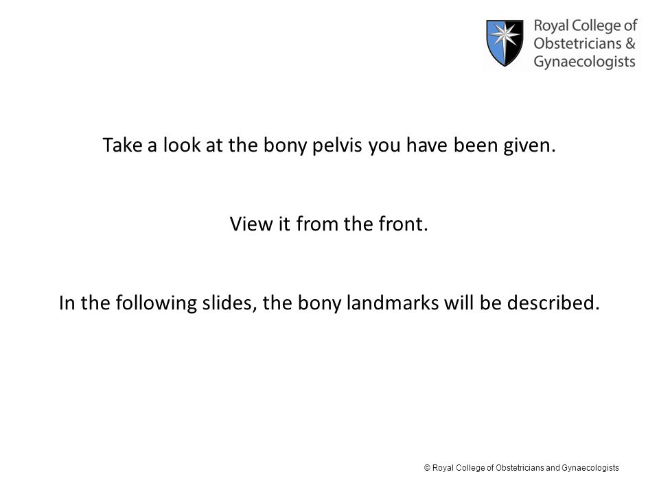 Take a look at the bony pelvis you have been given.