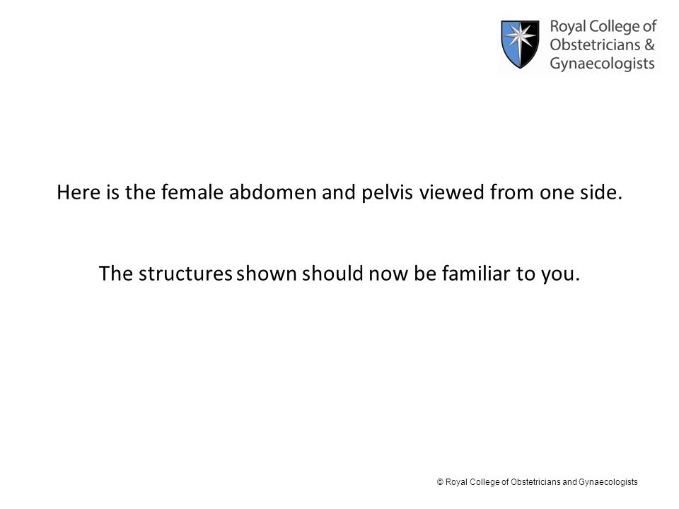Here is the female abdomen and pelvis viewed from one side.