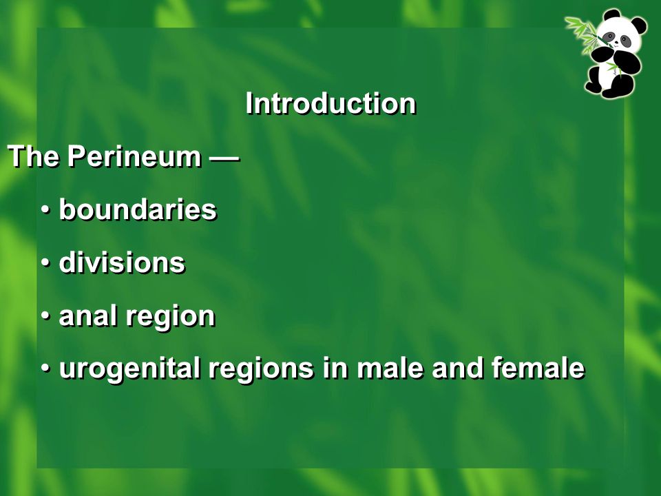 Introduction The Perineum — boundaries divisions anal region urogenital regions in male and female