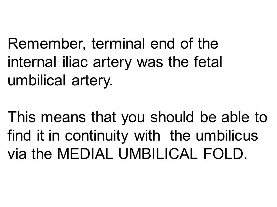 Remember, terminal end of the internal iliac artery was the fetal umbilical artery.