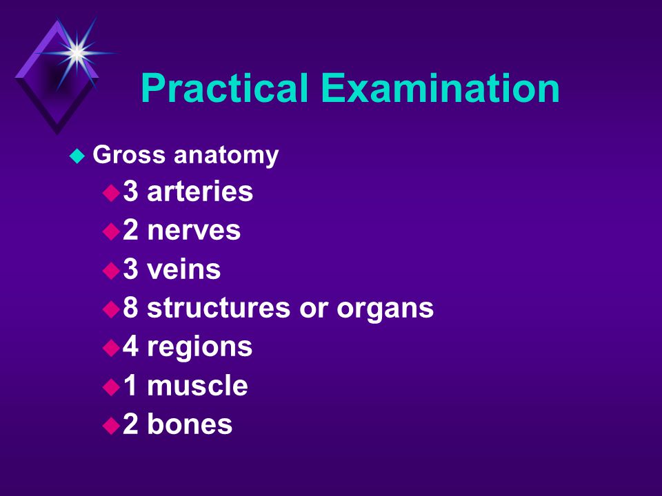 Practical Examination
