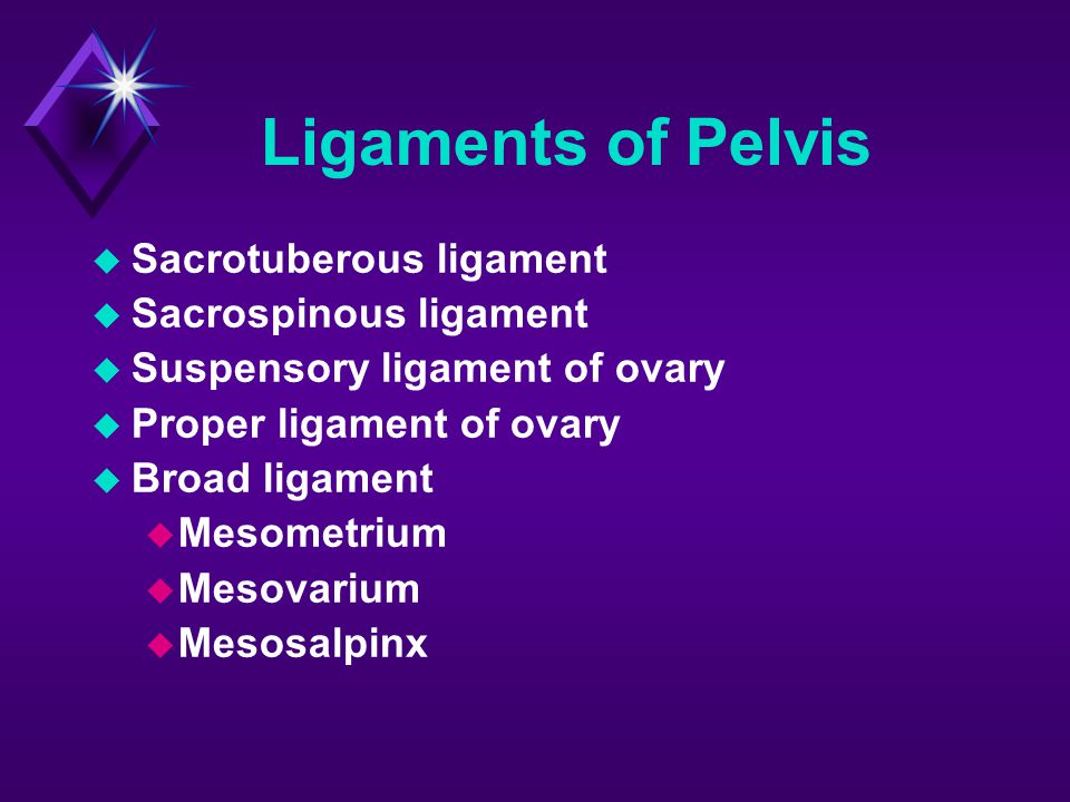 Ligaments of Pelvis Sacrotuberous ligament Sacrospinous ligament