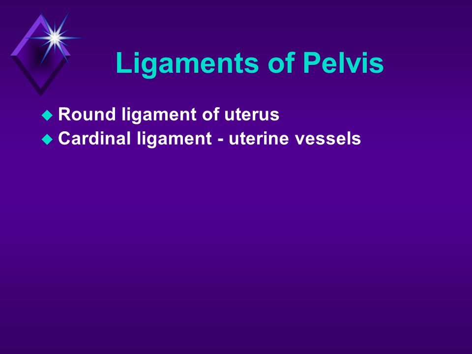 Ligaments of Pelvis Round ligament of uterus
