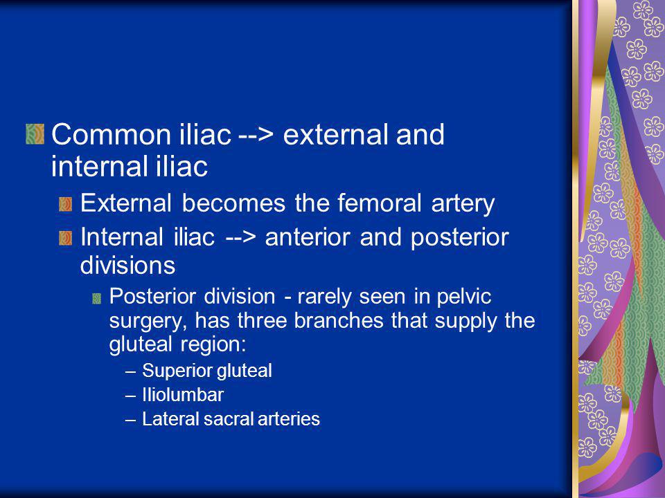 Common iliac --> external and internal iliac