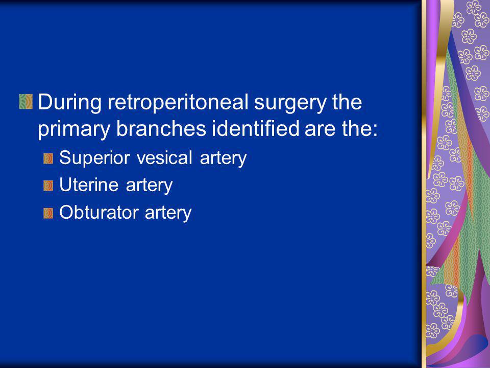 During retroperitoneal surgery the primary branches identified are the: