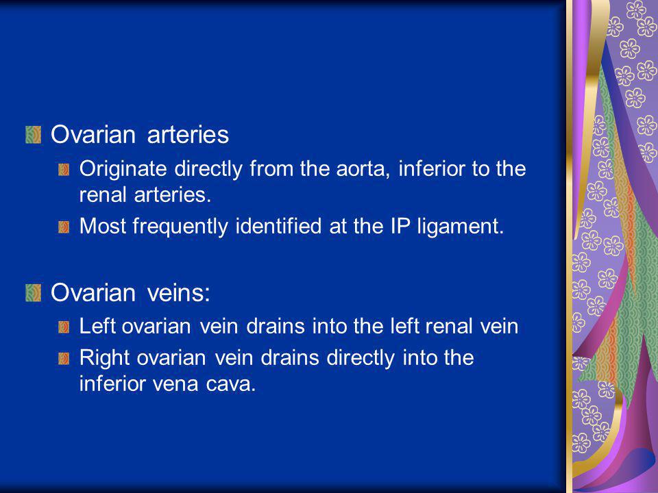 Ovarian arteries Ovarian veins: