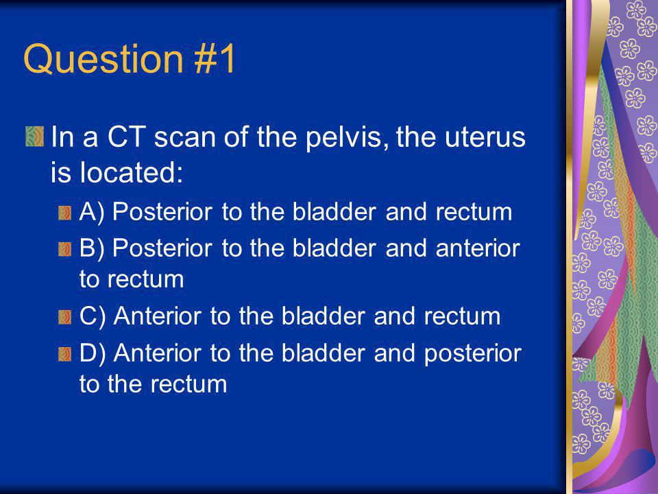 Question #1 In a CT scan of the pelvis, the uterus is located: