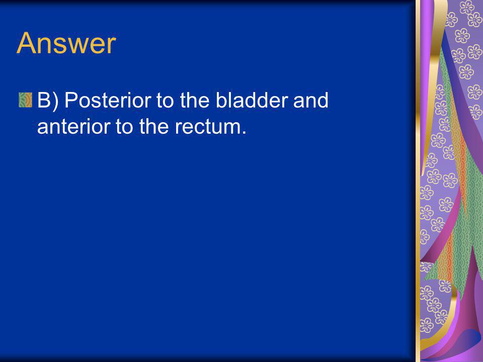 Answer B) Posterior to the bladder and anterior to the rectum.