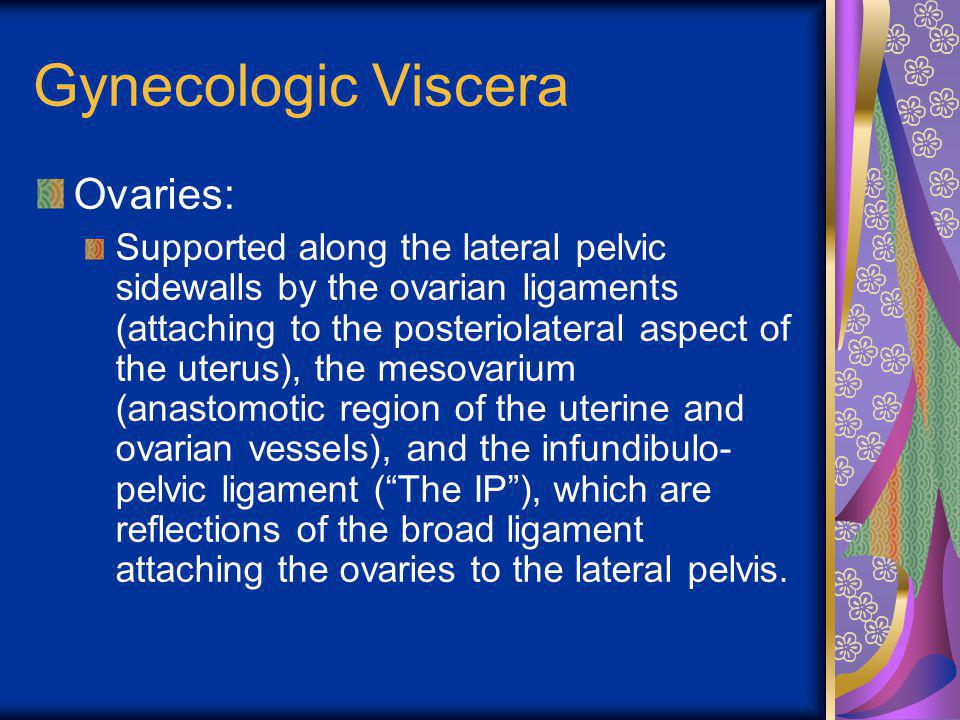 Gynecologic Viscera Ovaries: