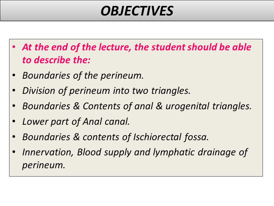 OBJECTIVES At the end of the lecture, the student should be able to describe the: Boundaries of the perineum.