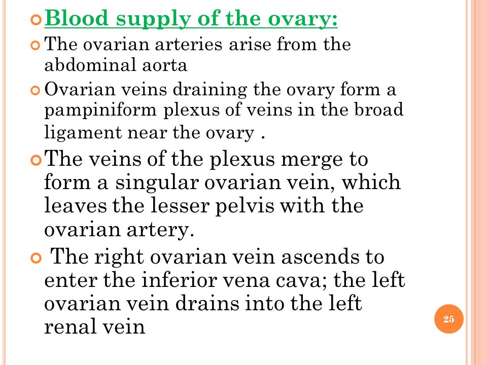 Blood supply of the ovary: