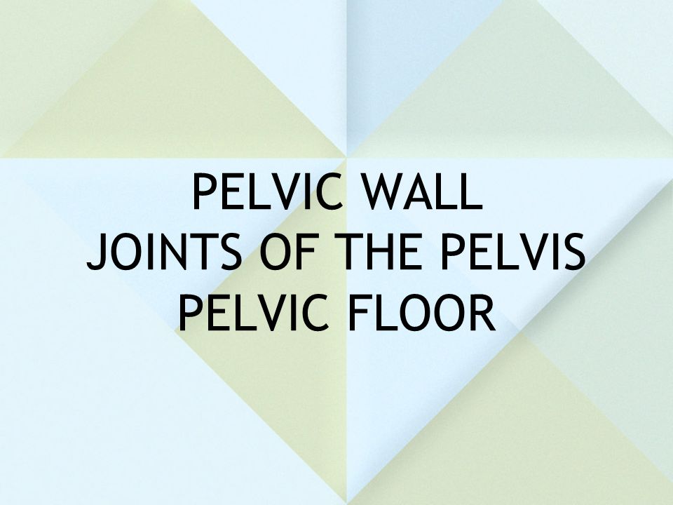 PELVIC WALL JOINTS OF THE PELVIS PELVIC FLOOR