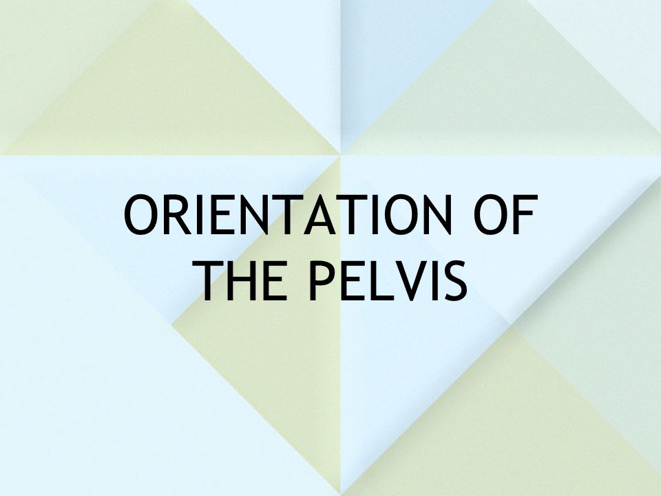 ORIENTATION OF THE PELVIS