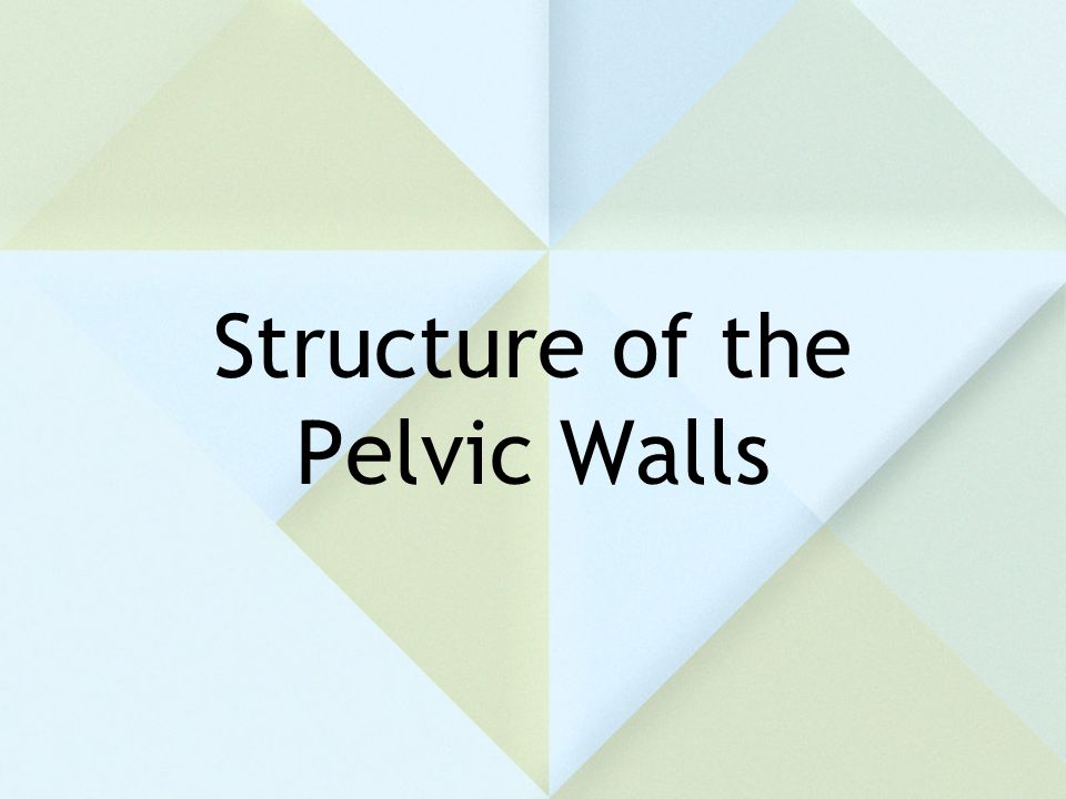 Structure of the Pelvic Walls