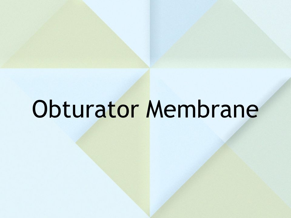 Obturator Membrane
