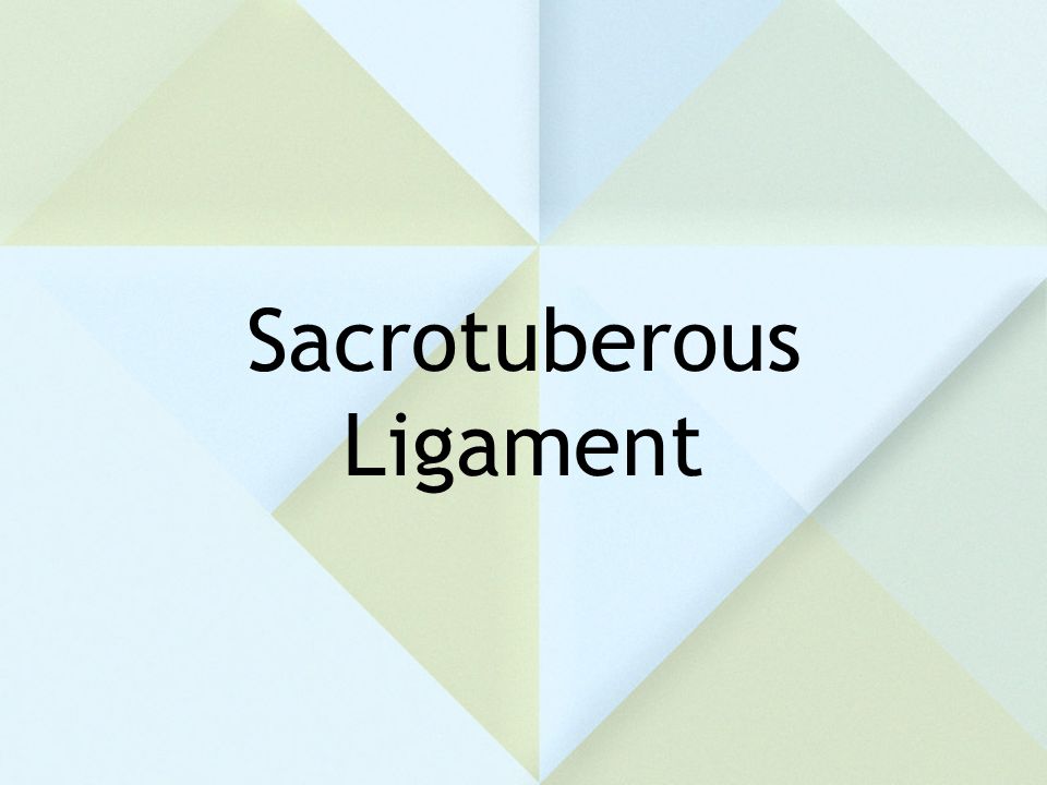 Sacrotuberous Ligament