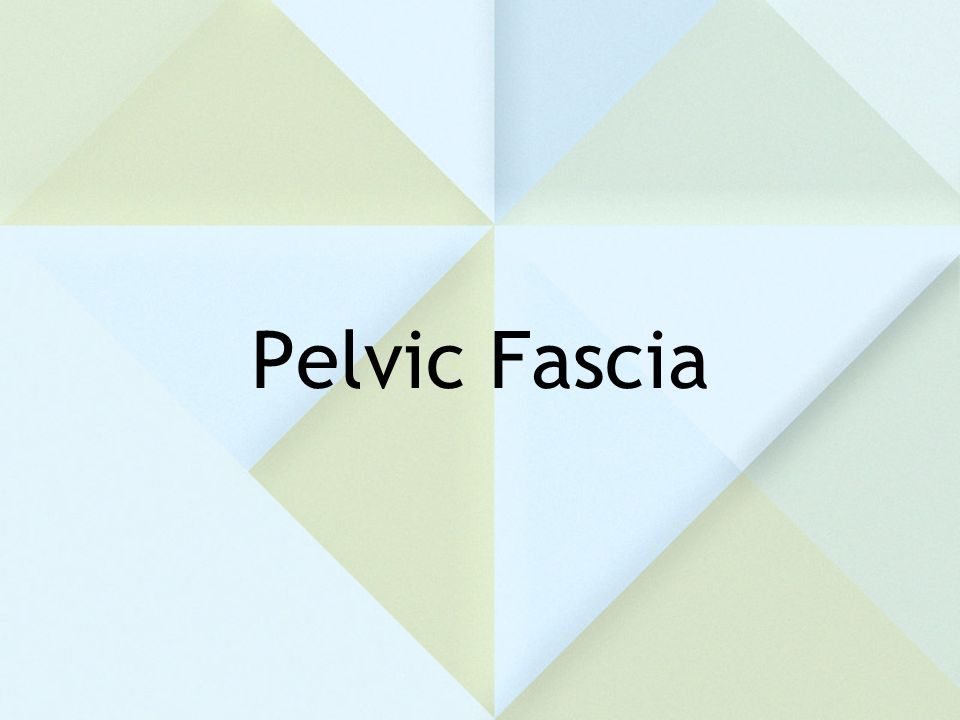 Pelvic Fascia