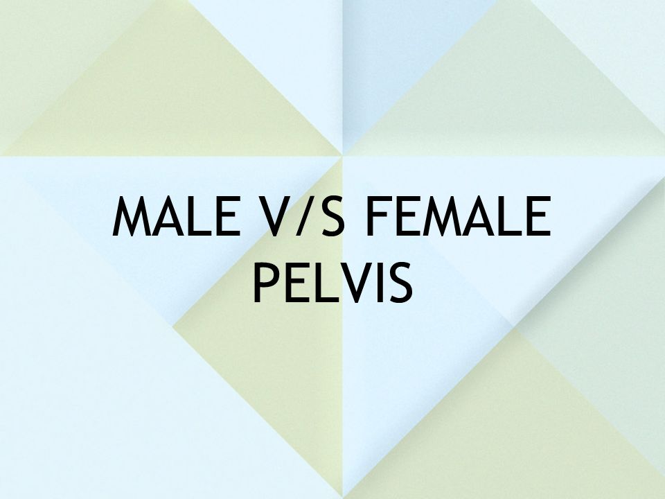 MALE V/S FEMALE PELVIS