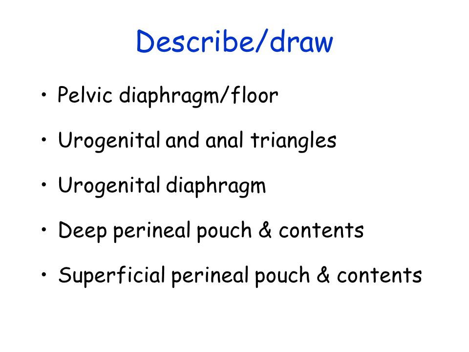 Describe/draw Pelvic diaphragm/floor Urogenital and anal triangles