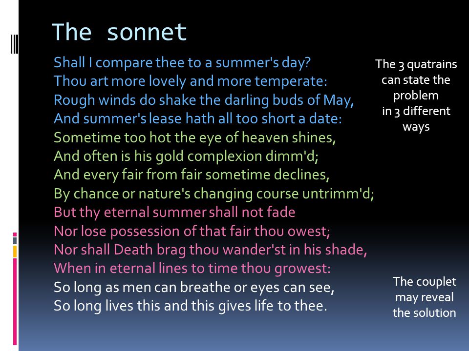 The sonnet