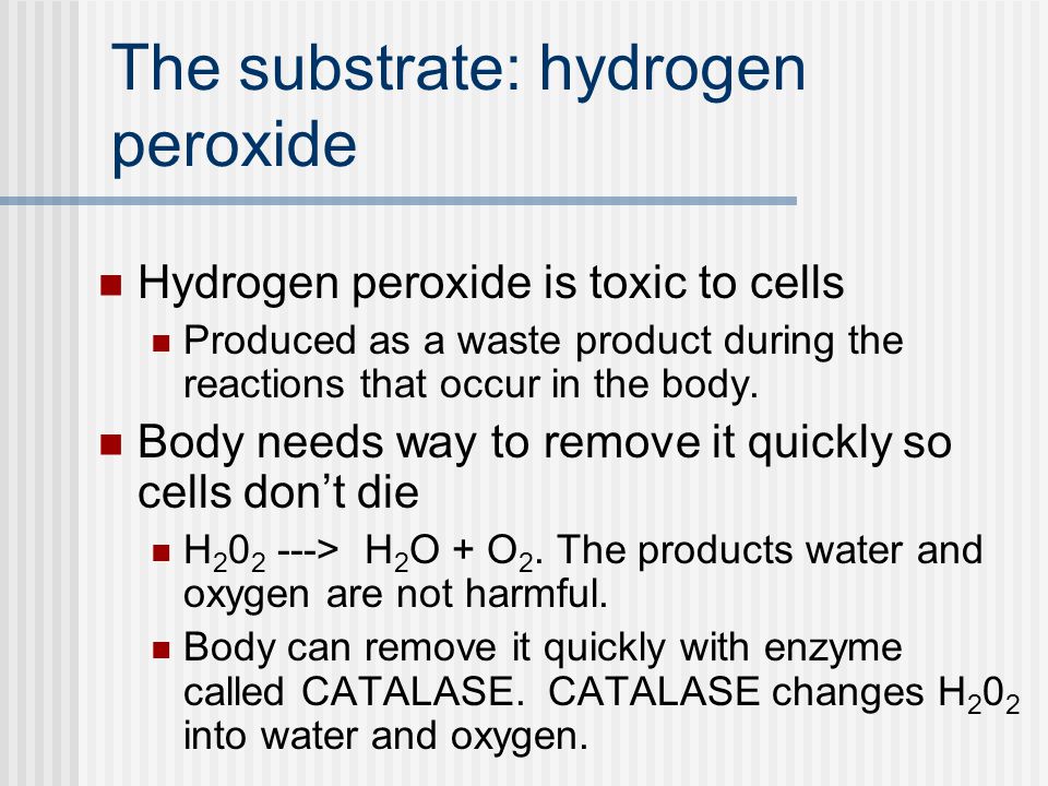 why does liver react with hydrogen peroxide