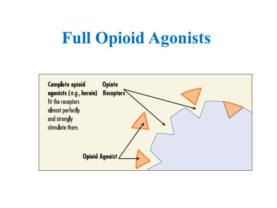 Full Opioid Agonists