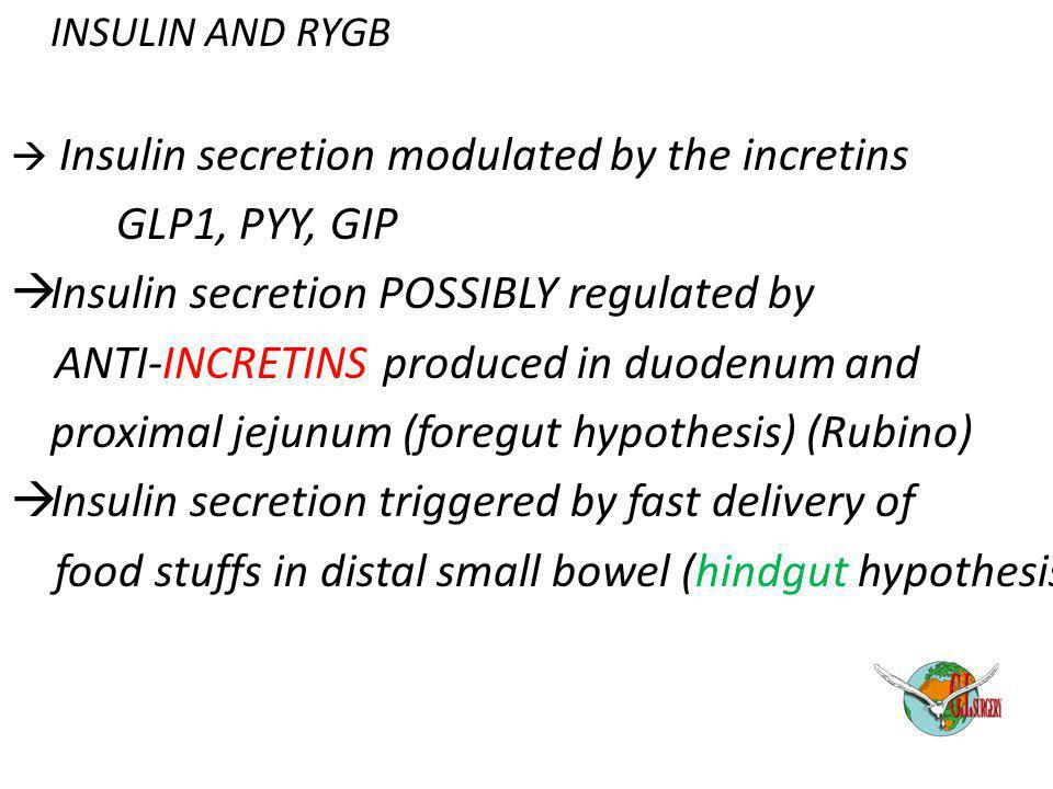 Insulin secretion POSSIBLY regulated by