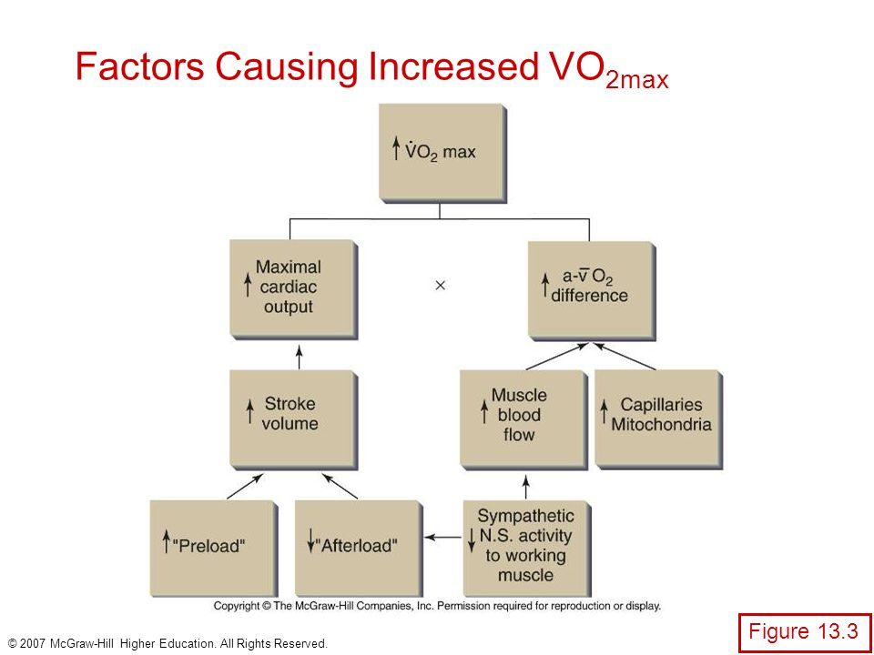 Chapter 13 The Physiology Of Training Effect On Vo2 Max
