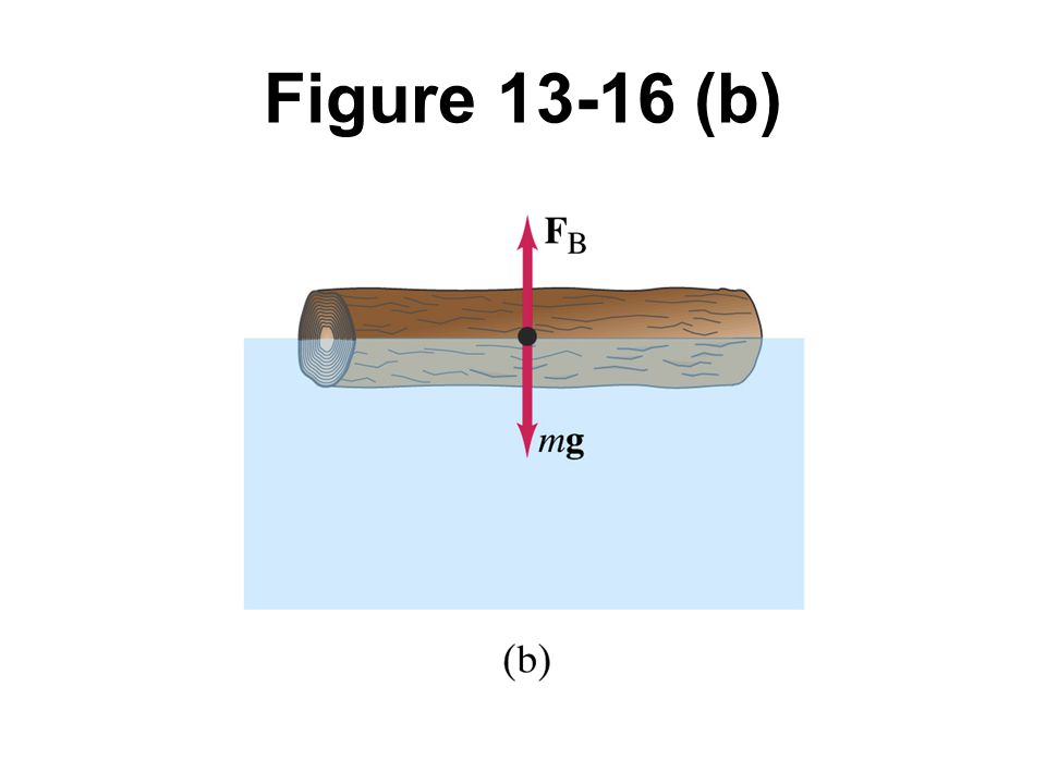 Figure (b)