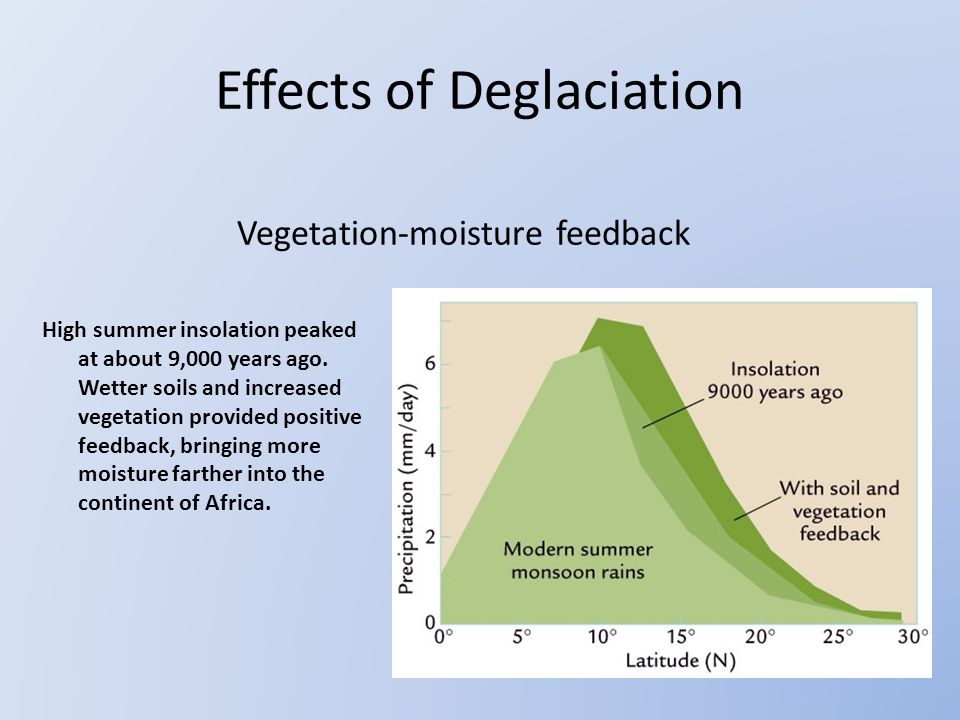 Vegetation-moisture feedback