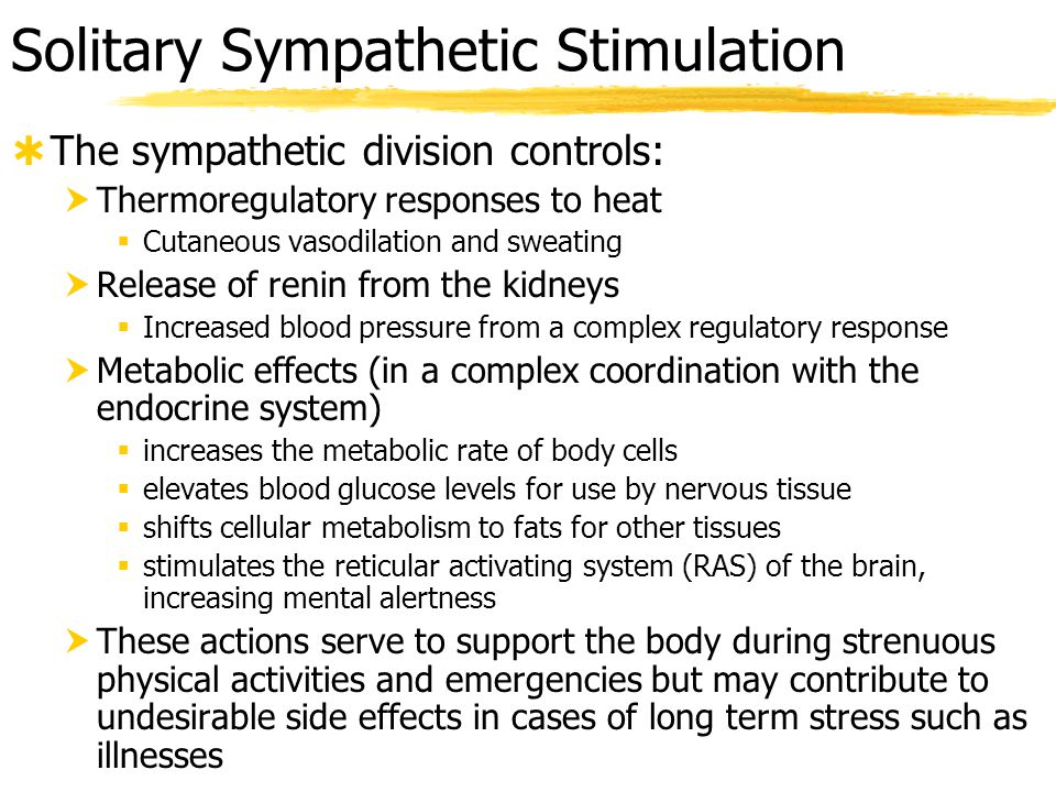 sympathetic division stimulation causes increased blood glucose