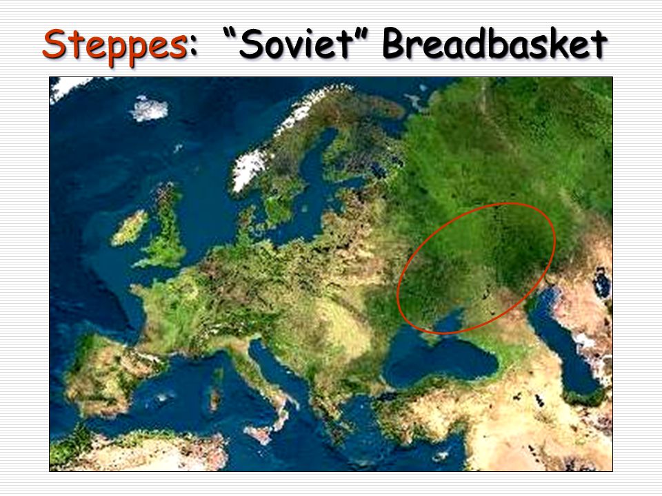 Steppes: Soviet Breadbasket