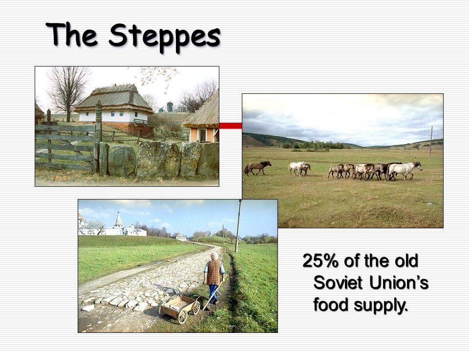 The Steppes 25% of the old Soviet Union’s food supply.