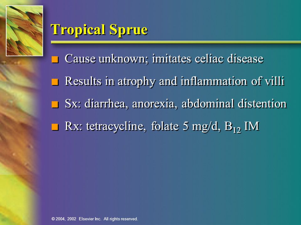 Tropical Sprue Cause unknown; imitates celiac disease