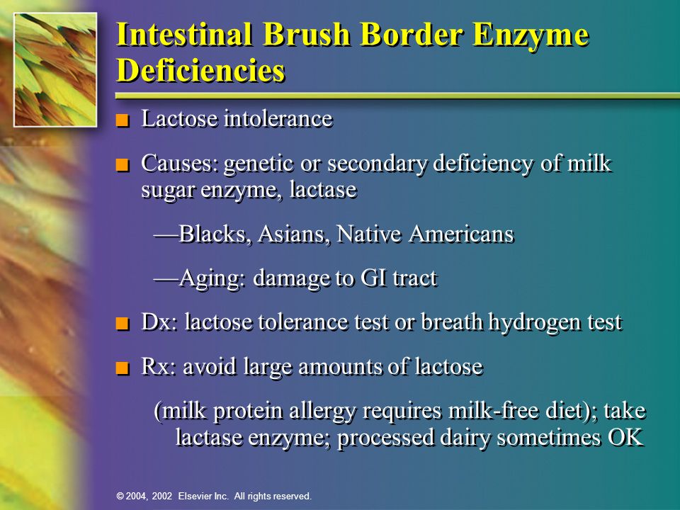 Intestinal Brush Border Enzyme Deficiencies