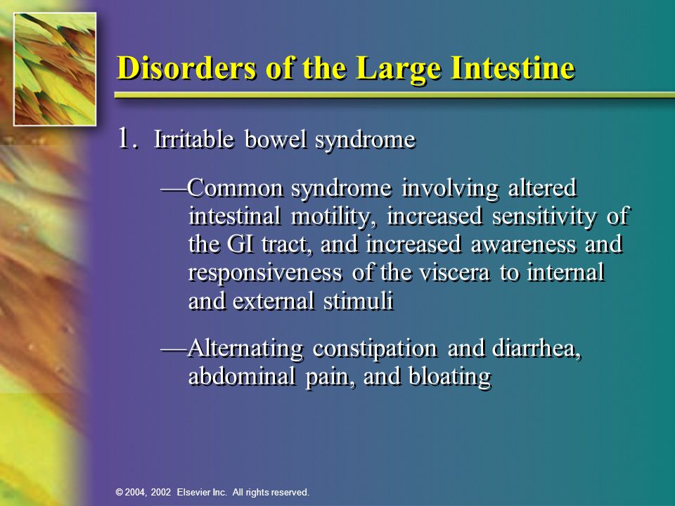 Disorders of the Large Intestine