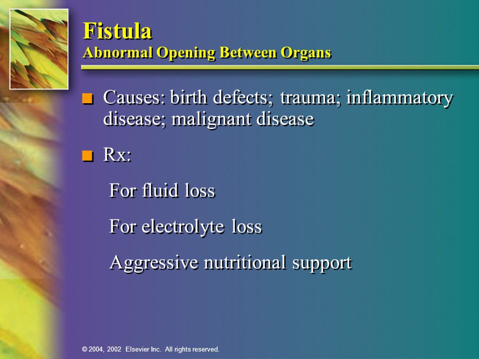 Fistula Abnormal Opening Between Organs