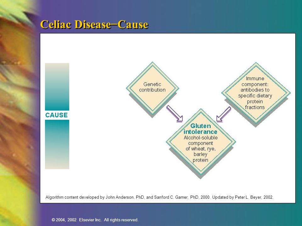 Celiac Disease−Cause Algorithm content developed by John Anderson, PhD, and Sanford C.