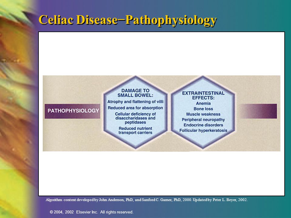 Celiac Disease−Pathophysiology