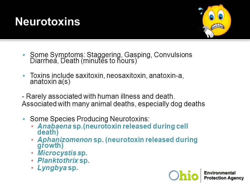 Neurotoxins Some Symptoms: Staggering, Gasping, Convulsions Diarrhea, Death (minutes to hours)
