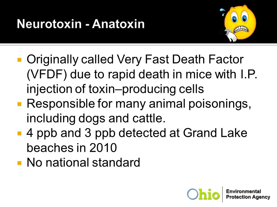 Neurotoxin - Anatoxin Originally called Very Fast Death Factor (VFDF) due to rapid death in mice with I.P. injection of toxin–producing cells.