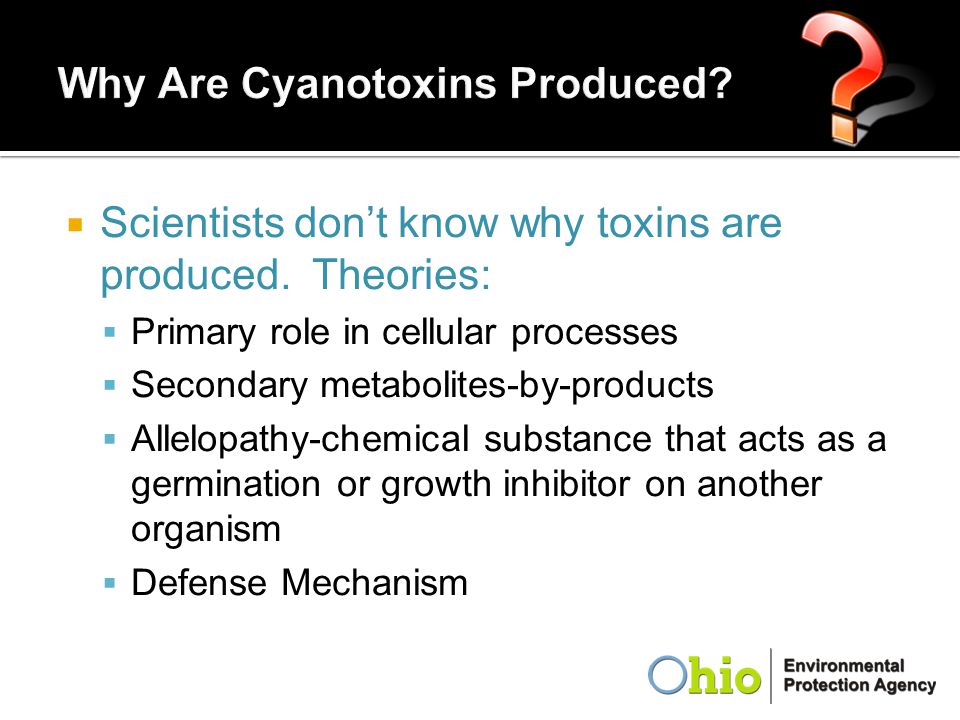 Why Are Cyanotoxins Produced