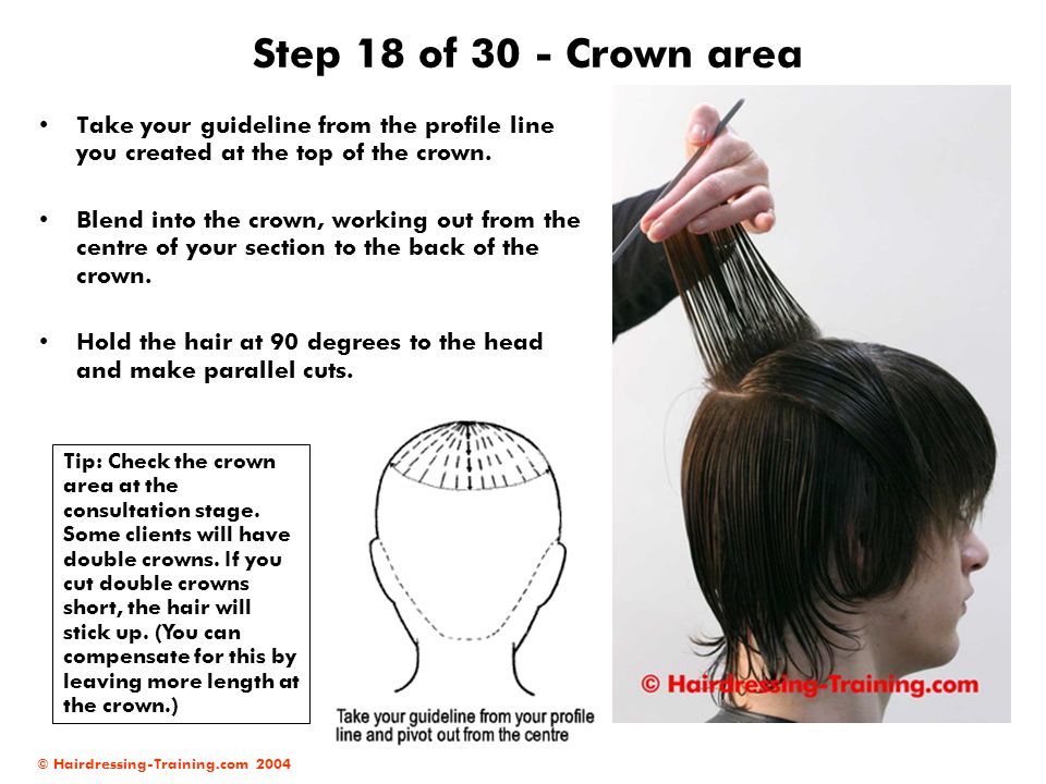 Male Haircuts Parallel Layers Ppt Video Online Download