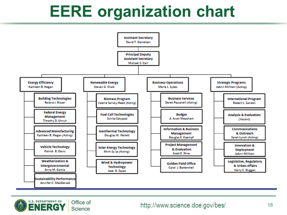 Doe Organization Chart