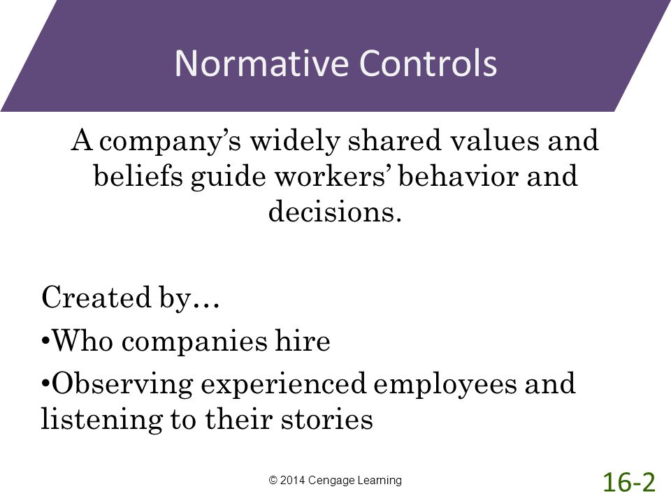 Normative Controls A company’s widely shared values and beliefs guide workers’ behavior and decisions.