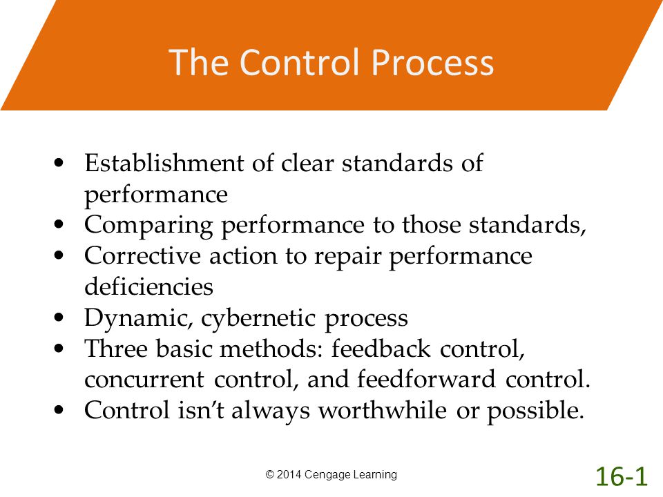 The Control Process Establishment of clear standards of performance. Comparing performance to those standards,