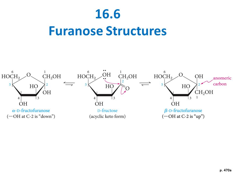 16.6 Furanose Structures p. 470a